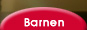 Barnens egna �ventyr